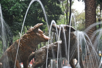 Fuente de los coyotes