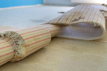 renovation of the house - cut carpet on the floor