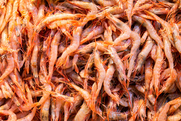 Fresh shrimps for sale at fish market