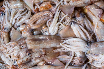 Fresh fishes sold in fish market