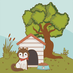 Dog cartoon design vector illustrator