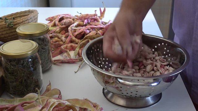 Human hands shelling fresh raw red kidney bean pods on table in the kitchen