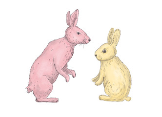 hand drawn hare and rabbit