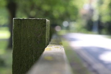 a mossy wooden fence post 