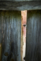 A woman spies through the crack of a fence neighbors