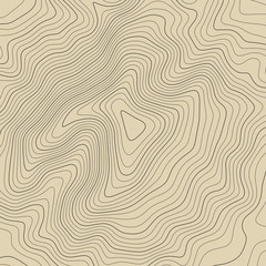 Topographic map lines background. Abstract vector illustration.