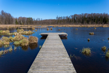 Fototapeta premium Landscape with lake in summer. Blue sky