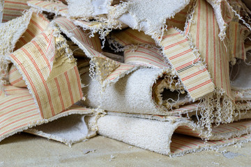 cut carpet on the floor - renovation of the house