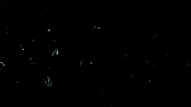 Super slow motion of shattered glass on black background. Filmed on high speed cinema camera, 1000 fps.