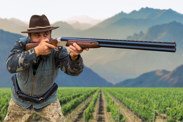 Fototapeta premium Hunter with a german drathaar and spaniel, pigeon hunting with dogs