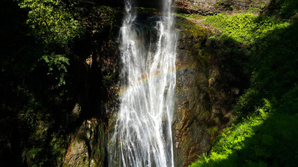 Путешествие