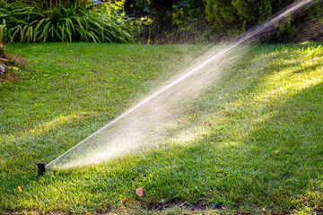 Automatic irrigation system watering green grass in summer sunny day. Lawn sprinkler spaying water © v_tynka