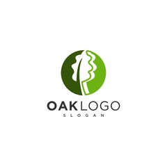 oak leaf logo design vector template