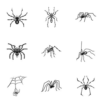 Spider icon set. Simple set of 9 spider vector icons for web design isolated on white background