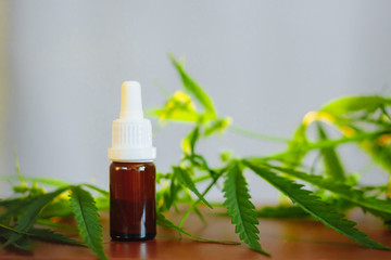 Bottle of Hemp CBD oil. Medical marijuana products including cannabis leaf, CBD and hash oil, alternative medicine