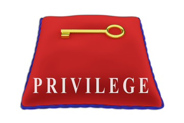 PRIVILEGE - social concept
