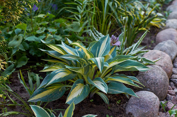  wonderful world around us