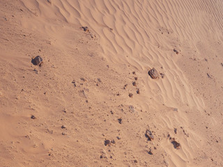 Sand dune in the desert surface texture.