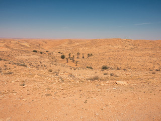 Fototapeta na wymiar Hot rocky desert with palms in the distance