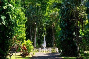 The Sir Seewoosagur Ramgoolam Botanical Garden. This is a popular tourist attraction and the oldest...
