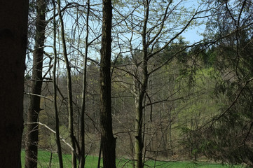 Obraz premium Spring has already arrived, riding in shorts