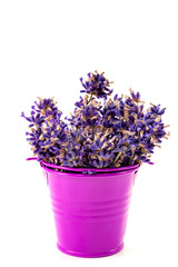 Fototapeta premium Summery flower fragrance, rural or rustic mood and floral scent concept theme with dried purple lavender flowers in a violet metal bucket isolated on white background