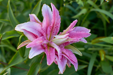  wonderful world around us