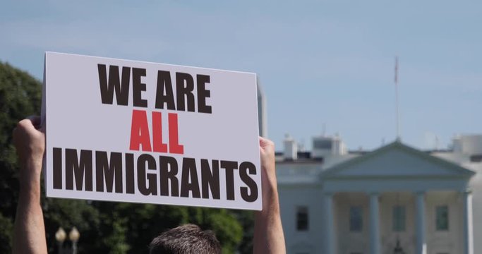 A man holds a We Are All Immigrants protest sign in front of the White House on a sunny summer day.  	
