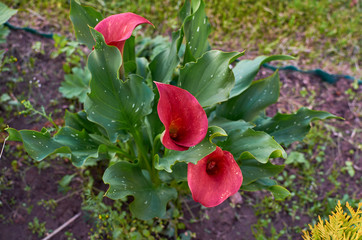  wonderful world around us