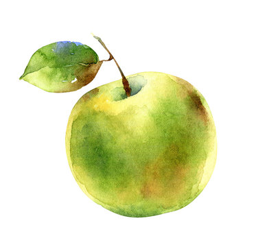 Watercolor green apple isolated on white background