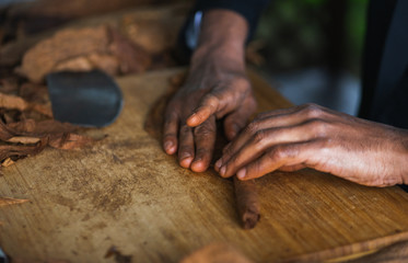 Process of making traditional cigars from tobacco leaves with hands using a mechanical device and press. 
