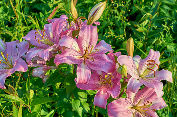  wonderful world around us