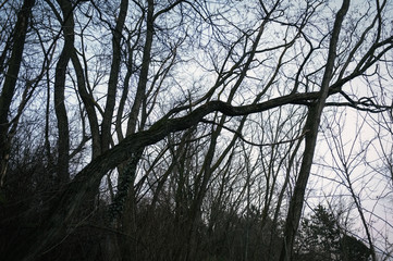 Evening walk, finding hidden places in the town