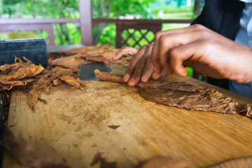 Process of making traditional cigars from tobacco leaves with hands using a mechanical device and press. 