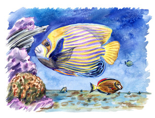Coral fish: Imperial angel (Pomacanthus imperator) and chocolate surgeon (Acanthurus pyroferus) among the corals on the bottom of the sea, watercolor illustration.