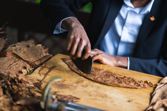 Process of making traditional cigars from tobacco leaves with hands using a mechanical device and press. 