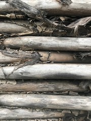 wooden old destroyed tree background