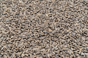 Heap, group or pile of sun flower seed background cover entire picture. 