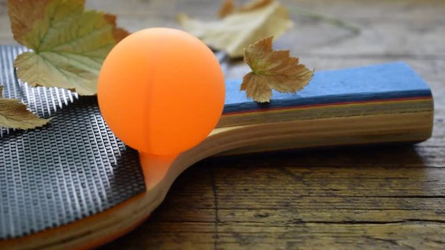 Ping Pong ft8107_0567 Stolni tenis