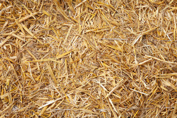 Close up dry straw texture background. Copy space place for text
