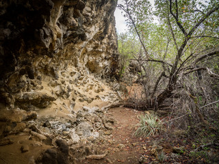 Obraz premium OLYMPUS DIGITAL CAMERA