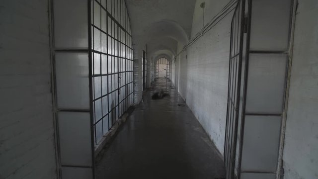 A black ghost of a woman wanders in an old abandoned psychiatric hospital.