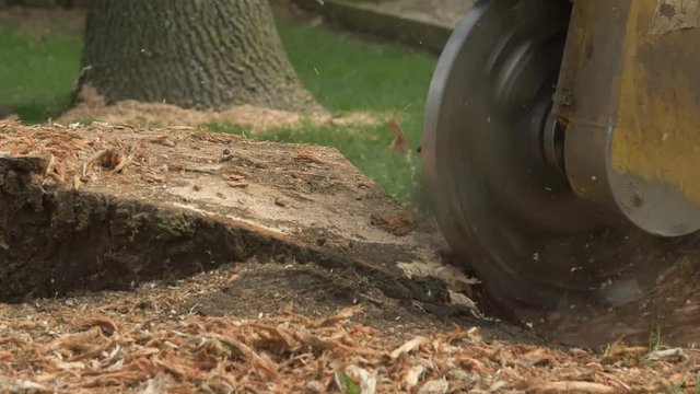 Tree Stump Grinder Close Slow Motion