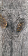 supernatural bizarre alien face of knots on textured wood plank