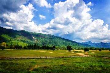 beautiful country scene