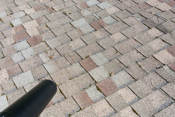 Fototapeta premium View from rooftop of leaf blower tube, asphalt roof shingles with tree debris, blowing debris off roof