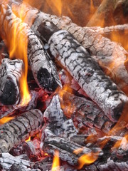 Flaming wooden coal logs of camping fireplace 04
