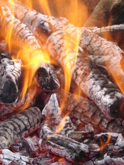 Flaming wooden coal logs of camping fireplace 06