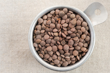 Brown Lentils in a Measuring Cup