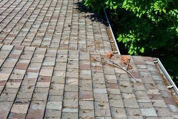 View from rooftop of asphalt roof shingles and gutter filled with tree debris, large tree in background, time for gutter cleaning © knelson20